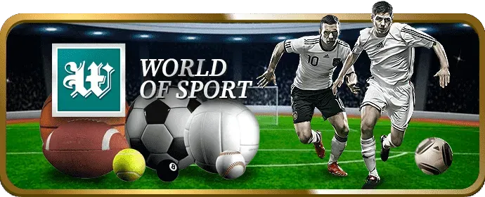 Tổng quan toàn diện về nền tảng 77ball chính thức